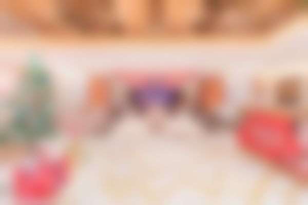 三、肖英技术优势