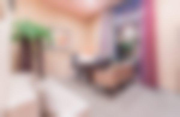 二、肖英擅长项目