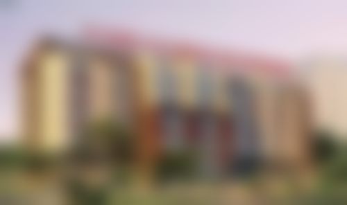 二、汪锦秀擅长项目