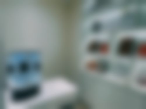 三、李海燕技术优势