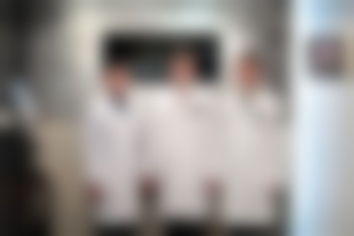 二、王林娜擅长项目