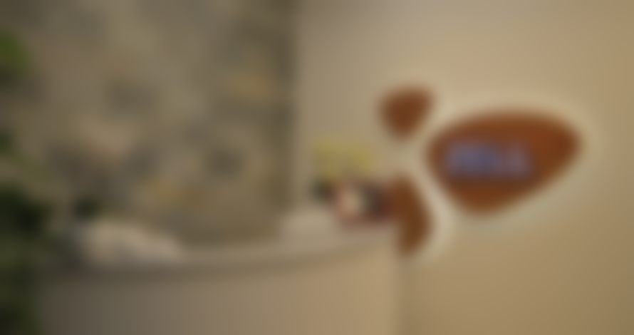 三、王林娜技术优势