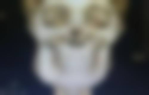 六、日常注意事项，呵护眼部肌肤