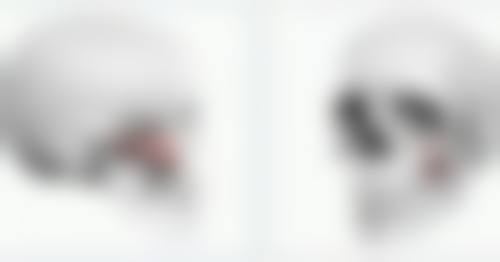 七、为什么外国人都是双眼皮？外貌特征的未来变化