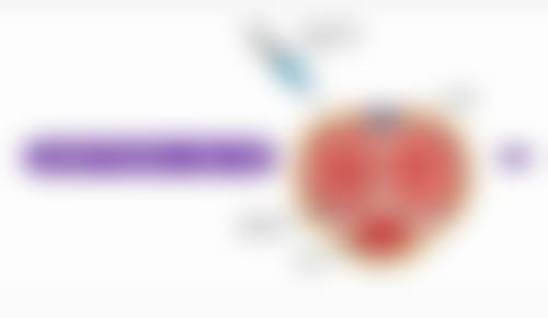 四、随涛收费价格表