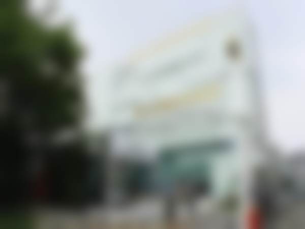 六、成功实例：见证变得更美的奇迹