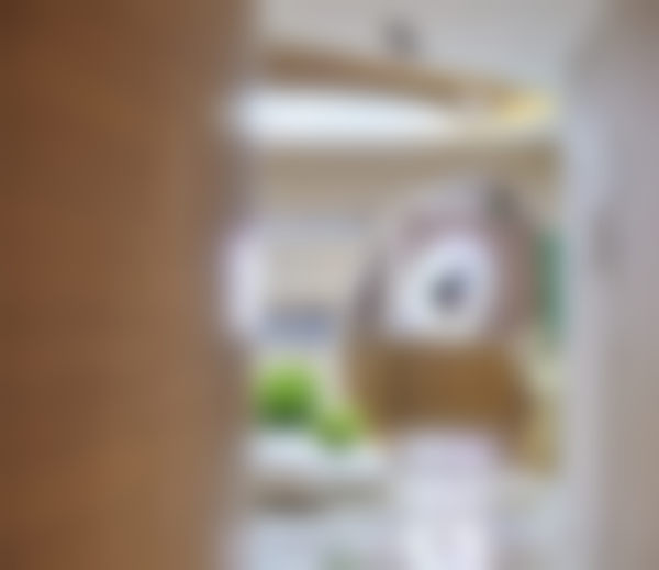 二、邵起可擅长项目