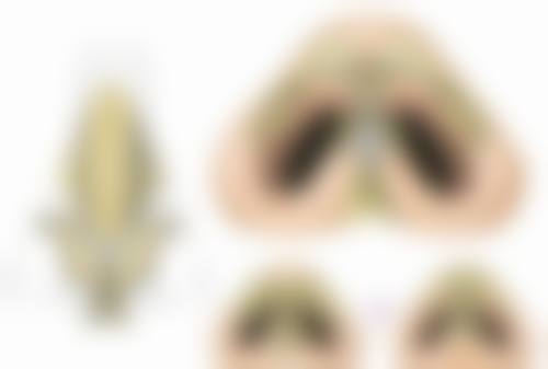 三、齐齐哈尔大千医疗美容诊所诊疗项目有哪些？