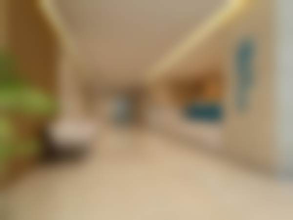 二、宋海林擅长项目