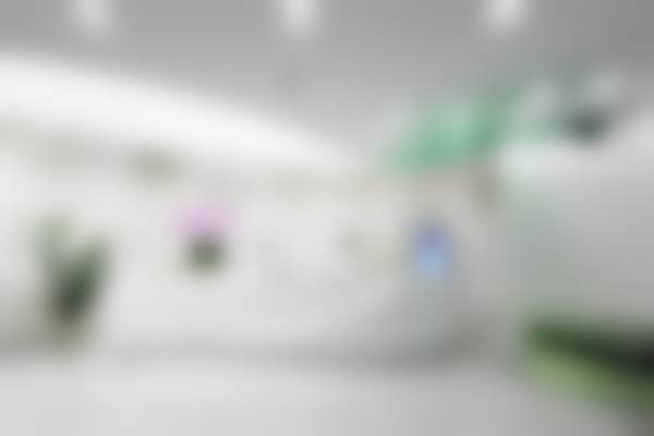 四、郑少雄收费价格表