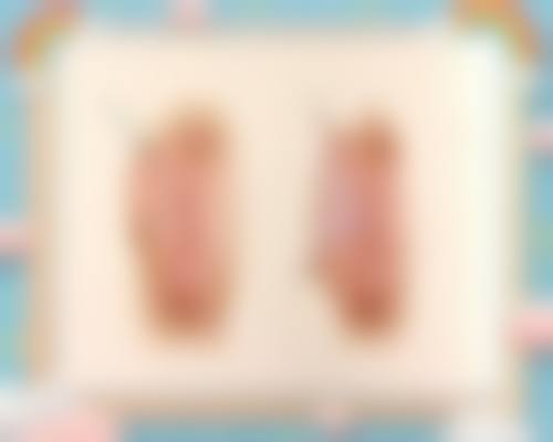 二、韩淼擅长项目