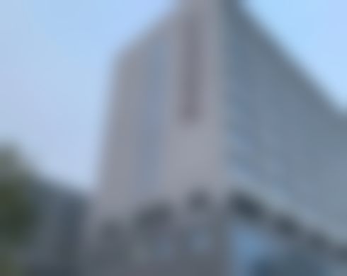 三、黄久佐技术优势
