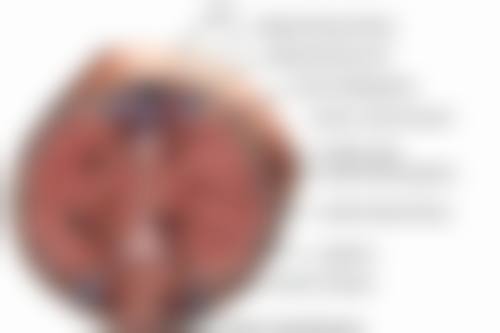 四、脸上烧伤的疤痕如何去掉之综合治疗