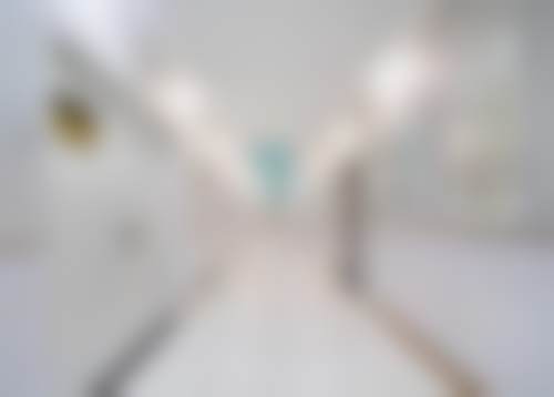 三、张孝珍技术优势