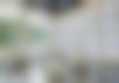 三、刘艳技术优势