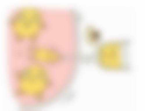二、郑祥兵擅长项目