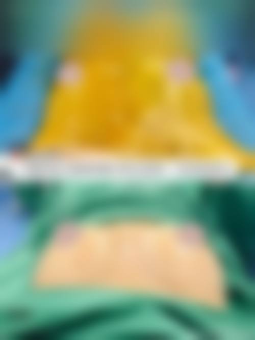 二、高健擅长项目
