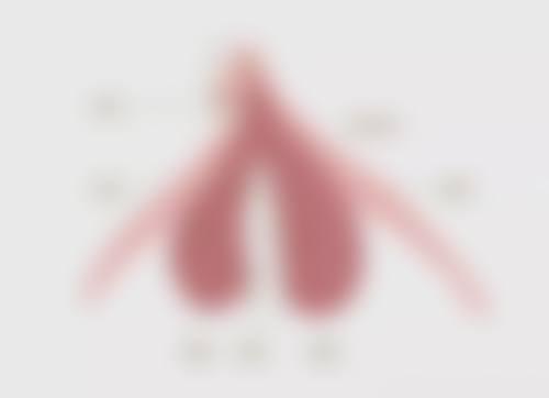 五、南京柏羽医疗美容医院价格表