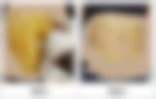 二、古山登隆擅长项目