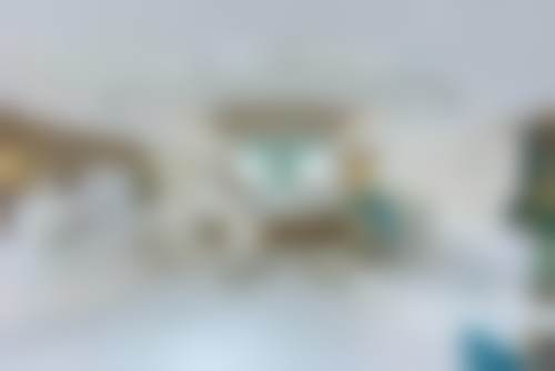 二、成都恒博天姿在玻尿酸项目上的专精团队优势
