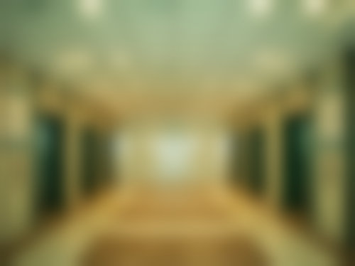 三、张鑫鑫技术优势
