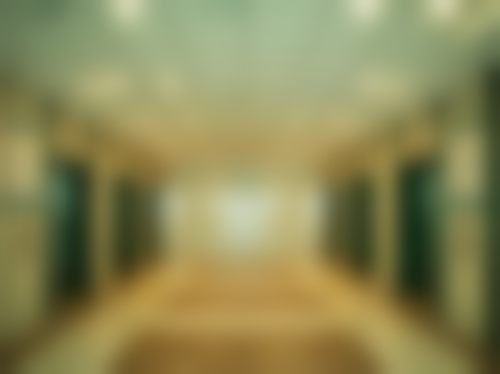 二、张鑫鑫擅长项目