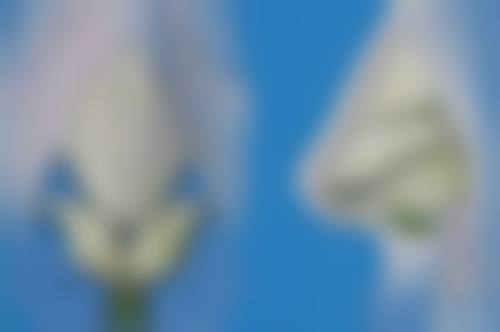 七、选择武汉斯启诺医疗美容门诊部王伟民医生面部注射精细化雕刻的理由
