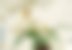 二、北京科彦医疗美容诊所怎么样?
