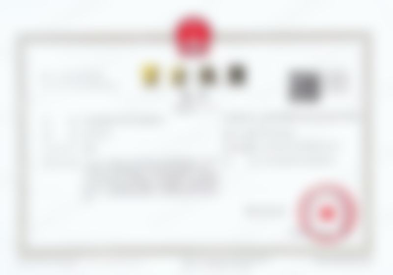 四、成功实例展示
