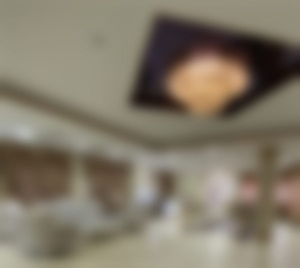 二、娄润文擅长项目