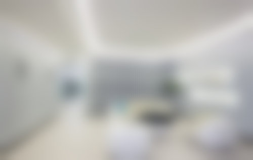 三、吴志军技术优势
