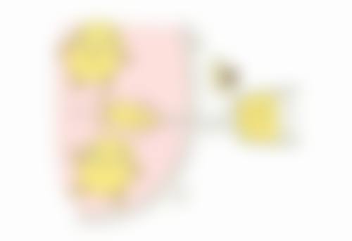 三、使用芦荟胶去除擦伤疤痕的注意事项