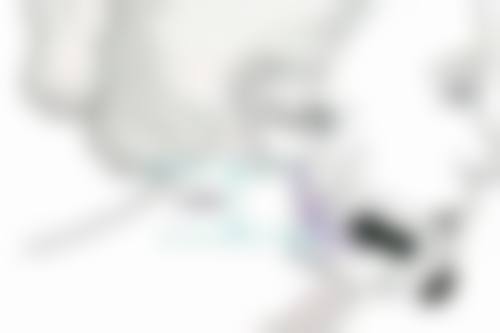 四、修复期