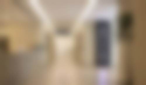 二、石仁慧擅长项目