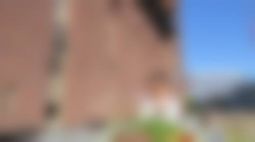 常见问题(FAQ)