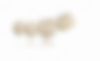 设备环境介绍:数字化设备,舒适体验