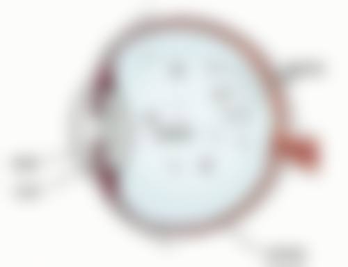 骨干医生团队介绍——从业多年医师亲诊