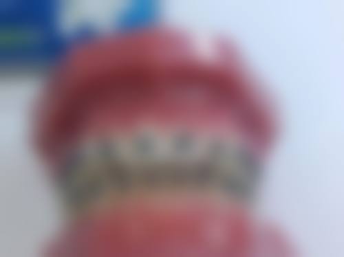 特色项目与核心优势