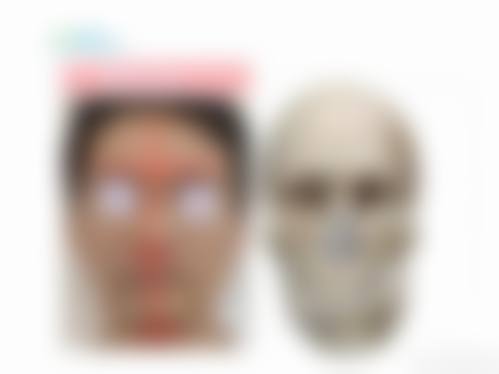 常见问题解答 (FAQ)