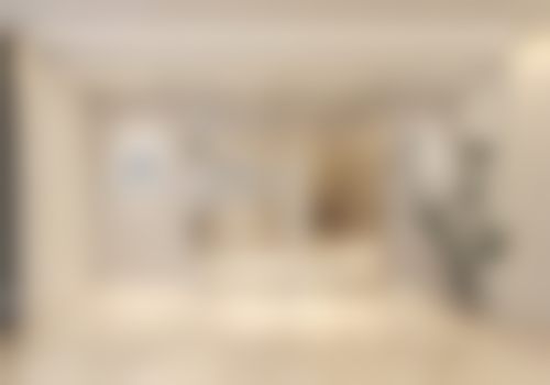 特色项目与服务