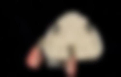 常见问题(FAQ)