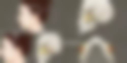 四、人工种植头发的手术过程
