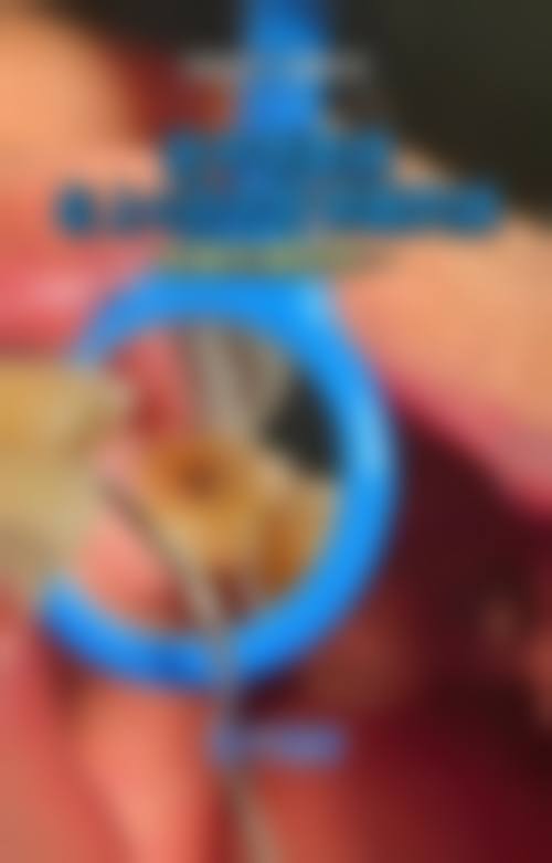 常见问题FAQ