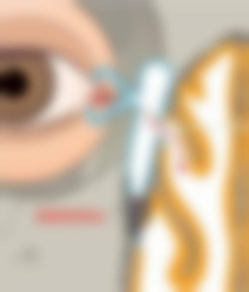 常见问题解答(FAQ)