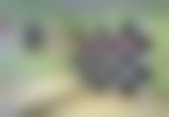 二、铁岭马晶美容整形门诊部怎么样?