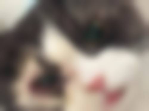 常见问题解答（FAQ）