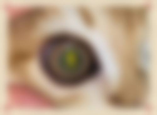医院资质与医疗实力