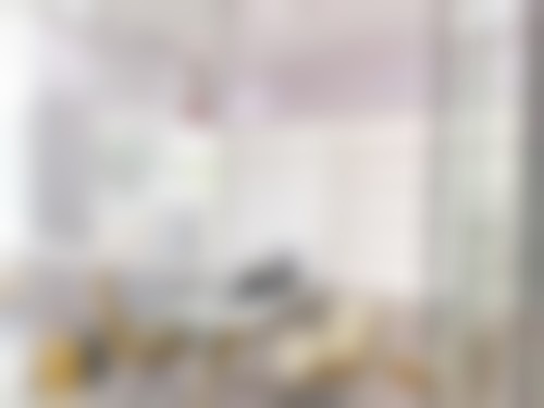 擅长项目详解